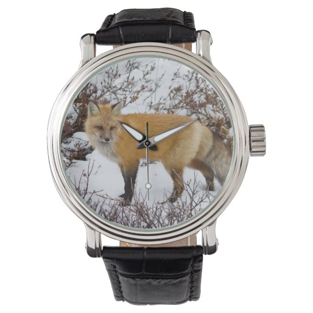 Rode vos in de sneeuw in de winter horloge (Voorkant)