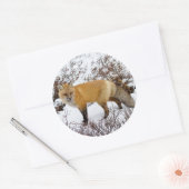 Rode vos in de sneeuw in de winter ronde sticker (Envelop)