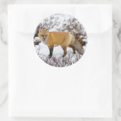 Rode vos in de sneeuw in de winter ronde sticker (Tas)