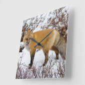 Rode vos in de sneeuw in de winter vierkante klok (Hoek)