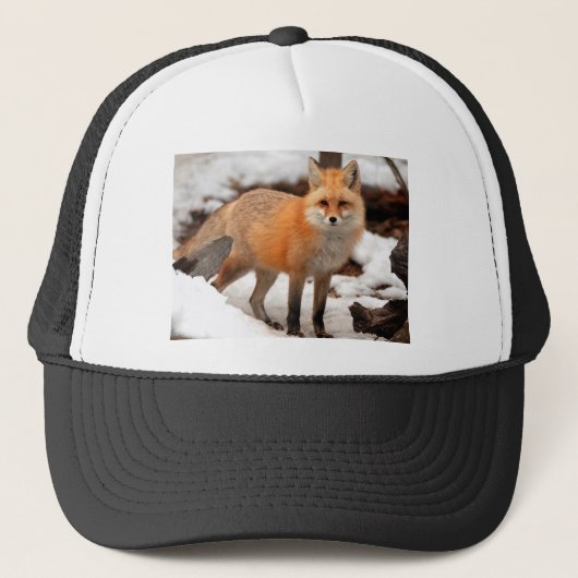 Rode vos in de sneeuw trucker pet (Voorkant)