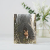 Rode vos in een boom, geschenken en kleding briefkaart (Staand voorkant)