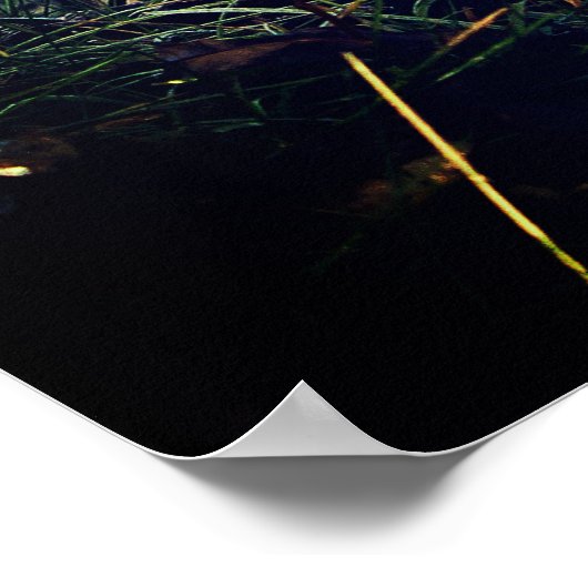 Rode vos in een bos poster (Hoek)