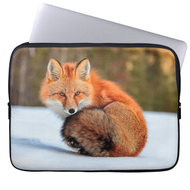Rode Vos In Sneeuw | Yukon Laptop Sleeve (Voorkant)