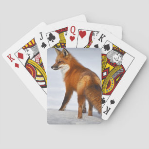 Rode vos in wintersneeuw pokerkaarten