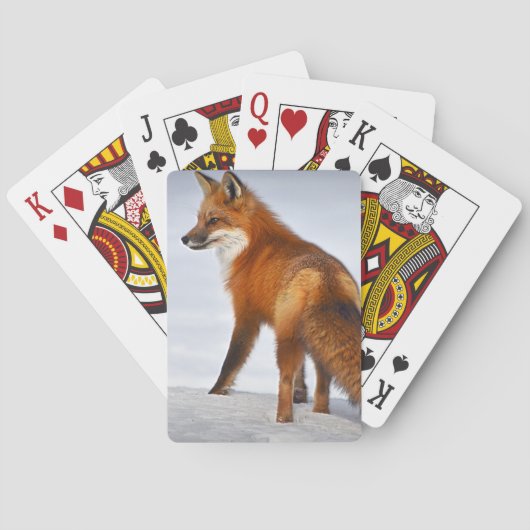 Rode vos in wintersneeuw pokerkaarten (Achterkant)