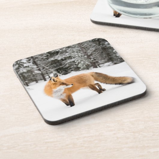 Rode vos in witte sneeuw bier onderzetter (Linkerzijde)