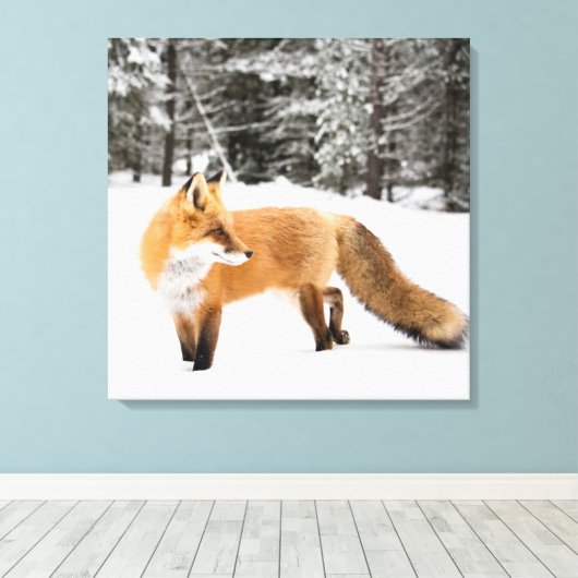 Rode vos in witte sneeuw canvas afdruk (Insitu (Houten vloer))