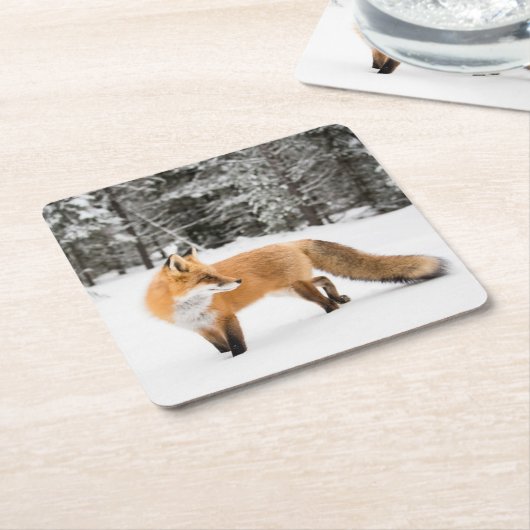 Rode vos in witte sneeuw kartonnen onderzetters (Schuin)