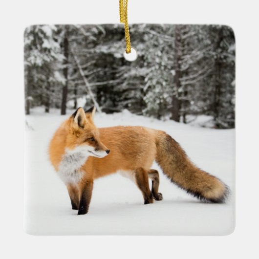 Rode vos in witte sneeuw keramisch ornament (Voorkant)