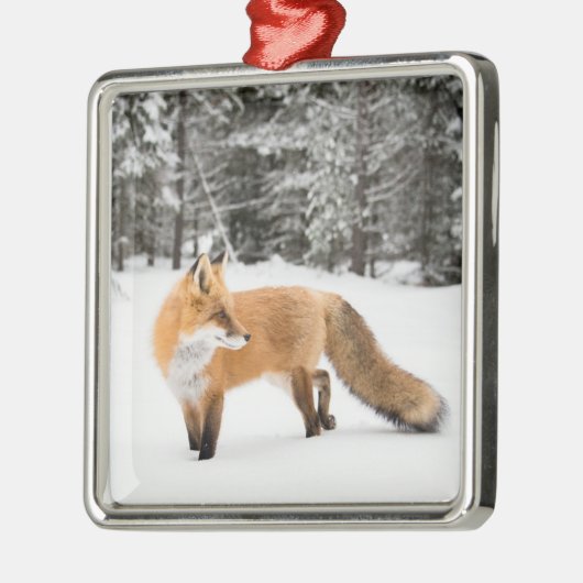Rode vos in witte sneeuw metalen ornament (Links)