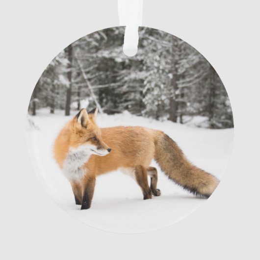 Rode vos in witte sneeuw ornament (achterkant)