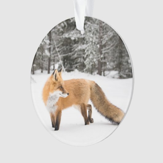 Rode vos in witte sneeuw ornament (voorkant)