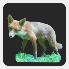 Rode Vos Jong Cute Bosdier Ontwerp Vierkante Sticker