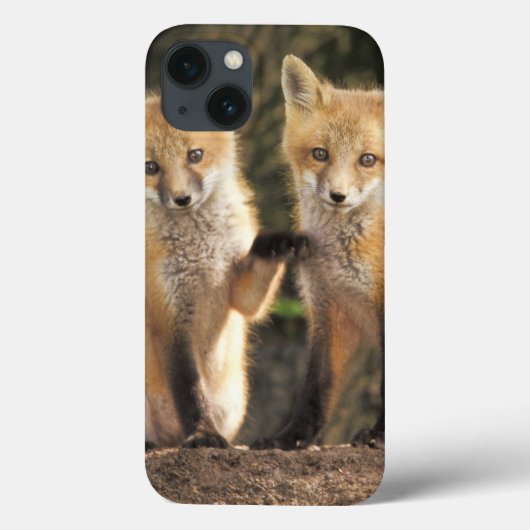Rode vos jong in front of hol (Vulpes vulpes) Case-Mate iPhone Case (Achterkant)