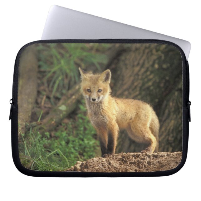 Rode vos jong voor hol (Vulpes vulpes) Laptop Sleeve (Voorkant)