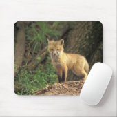 Rode vos jong voor hol (Vulpes vulpes) Muismat (Met muis)