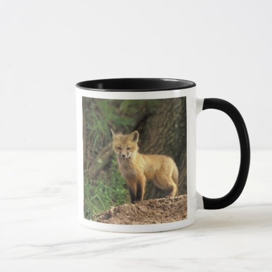 Rode vos jong voor zijn hol (Vulpes vulpes) Mok (Rechts)