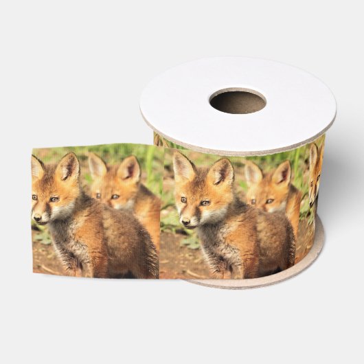 Rode Vos Jongen Grosgrain Lint (Spoel)