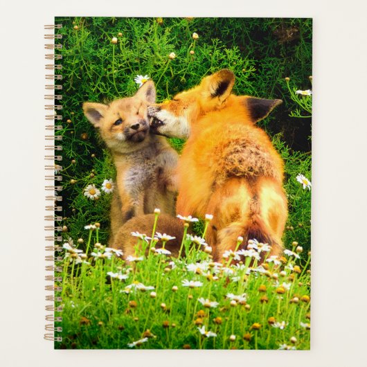 Rode Vos Jongen Planner | Bos Dieren Kunst (Voorkant)