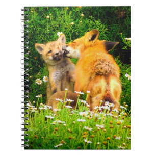 Rode Vos Jongen Spiraal Notebook Wilde Dieren Jo Notitieboek