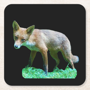 Rode Vos Jongste Bos Dieren Bos Scene Schattig Kartonnen Onderzetters