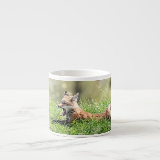 Rode Vos Kit Espresso Kop (Voorkant)