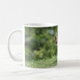 Rode Vos Kit Koffiemok