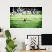 rode vos kleur fotografie poster afdruk (Thuiskantoor)