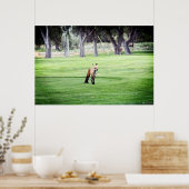 rode vos kleur fotografie poster afdruk (Keuken)