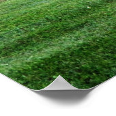 rode vos kleurenfotografie poster afdrukken (Hoek)