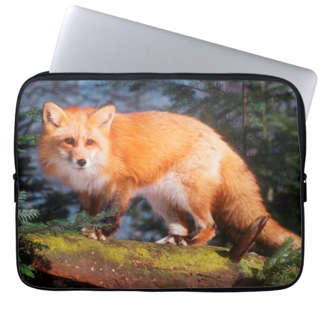 Rode vos op een stam laptop sleeve (Voorkant)
