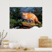 Rode Vos op een stam Poster (Keuken)