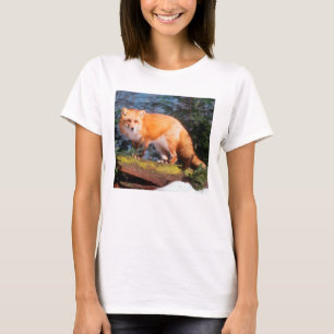 Rode Vos op een stam T-shirt