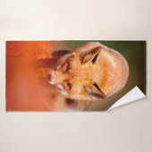 Rode vos op oranje herfstbladeren. Cute Red Badhanddoek (Badhanddoek)