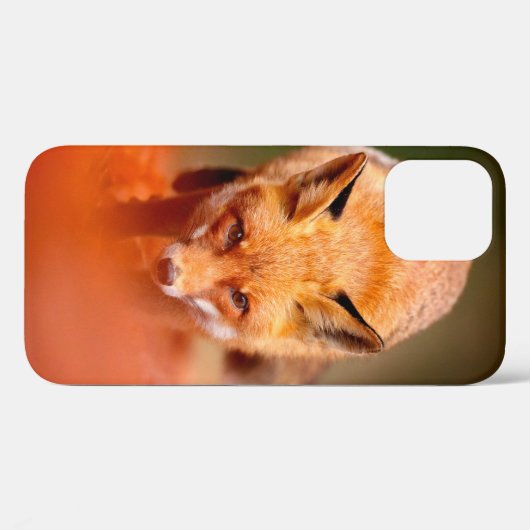 Rode vos op oranje herfstbladeren. Cute Red Case-Mate iPhone Case (Achterkant (horizontaal))