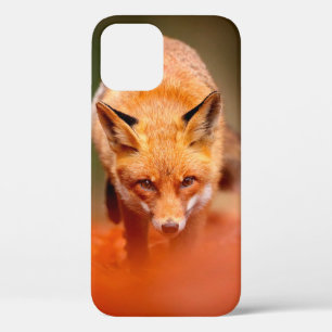 Rode vos op oranje herfstbladeren. Cute Red Case-Mate iPhone Case