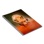 Rode vos op oranje herfstbladeren. Cute Red Notitieboek (Rechterzijde)