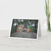 Rode Vos op Rots Kaart (Voorkant)