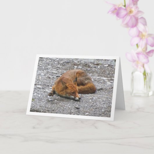 Rode Vos op Weg Kaart (Orchidee)