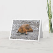 Rode Vos op Weg Kaart (Voorkant)