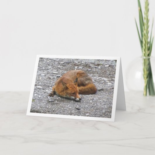 Rode Vos op Weg Kaart (Voorkant)