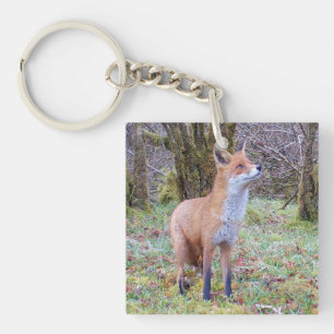 Rode Vos Opkijkend Wilde Natuur Bosdier Natuur Sleutelhanger