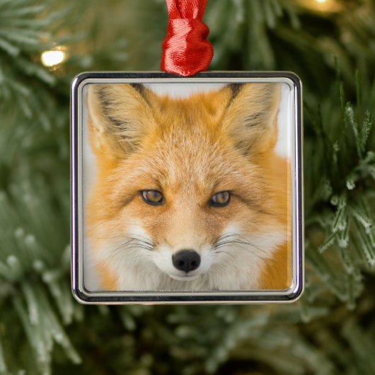 Rode Vos Portret Metalen Ornament (Boom)
