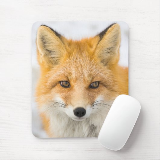 Rode Vos Portret Muismat (Met muis)