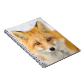 Rode Vos Portret Notitieboek (Rechterzijde)