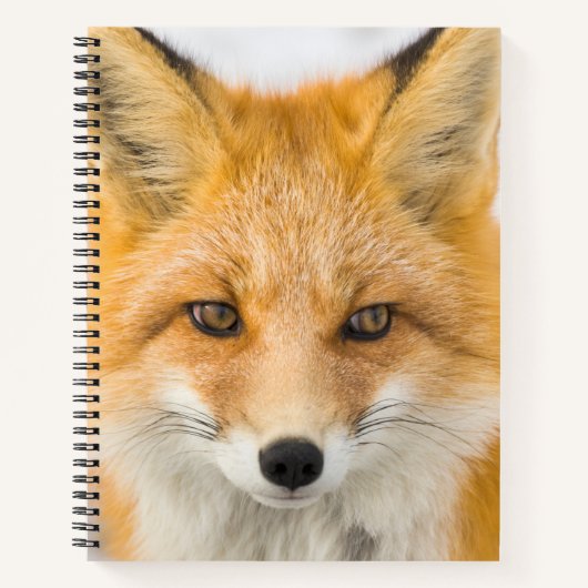 Rode Vos Portret Notitieboek (Voorkant)
