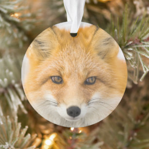 Rode Vos Portret Ornament