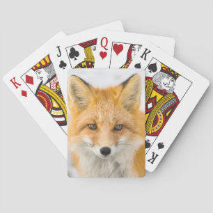Rode Vos Portret Pokerkaarten