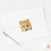 Rode Vos Portret Vierkante Sticker (Envelop)